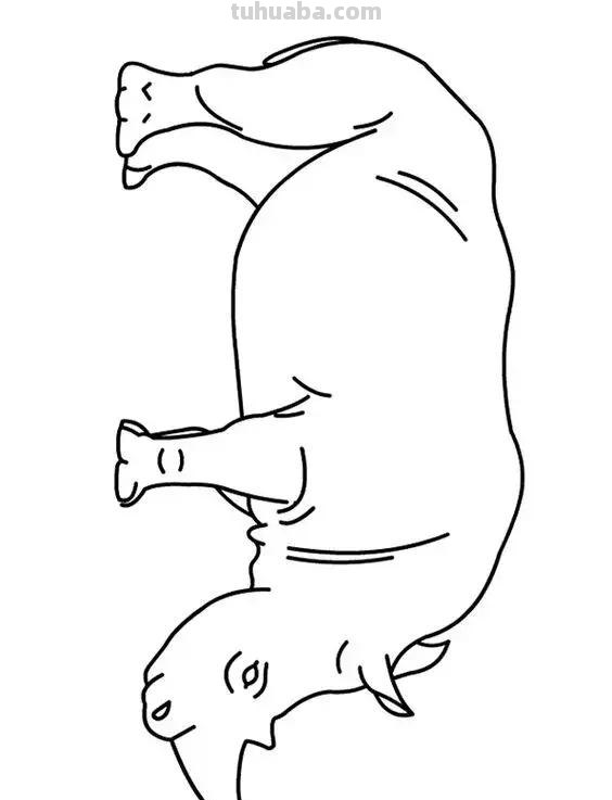 动物简笔画高清线稿，适合儿童画的简笔画