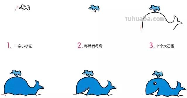 幼儿创意简笔画｜各种各样的海洋动物，我们一起来画吧！