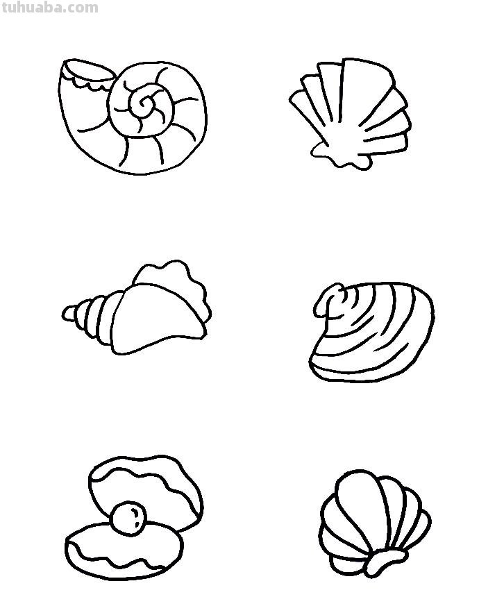 听说你在找海洋生物简笔画，不用找了，全在这，拿走学习吧！