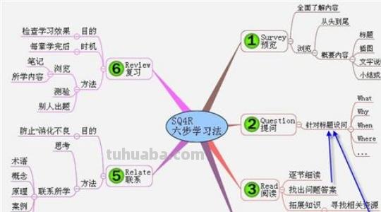 怎么创建双向思维导图(怎么创建双向思维导图模板) 怎么创建双向思维导图(怎么创建双向思维导图模板)