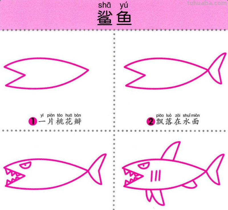 4步学画，水生动物，两岁宝宝全认识！