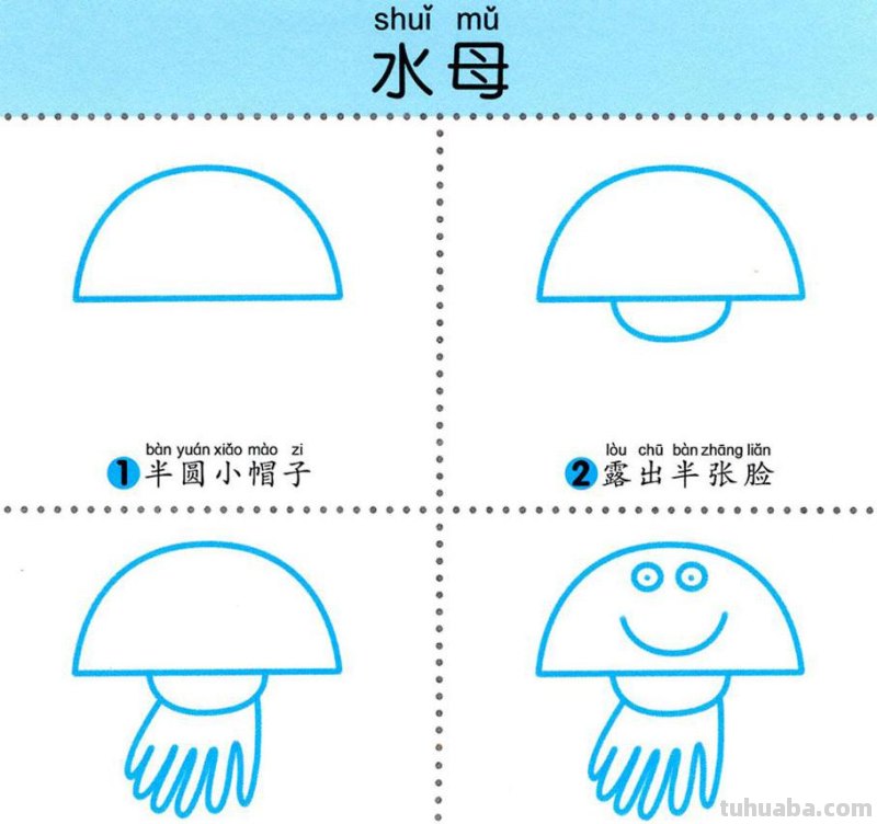 4步学画，水生动物，两岁宝宝全认识！