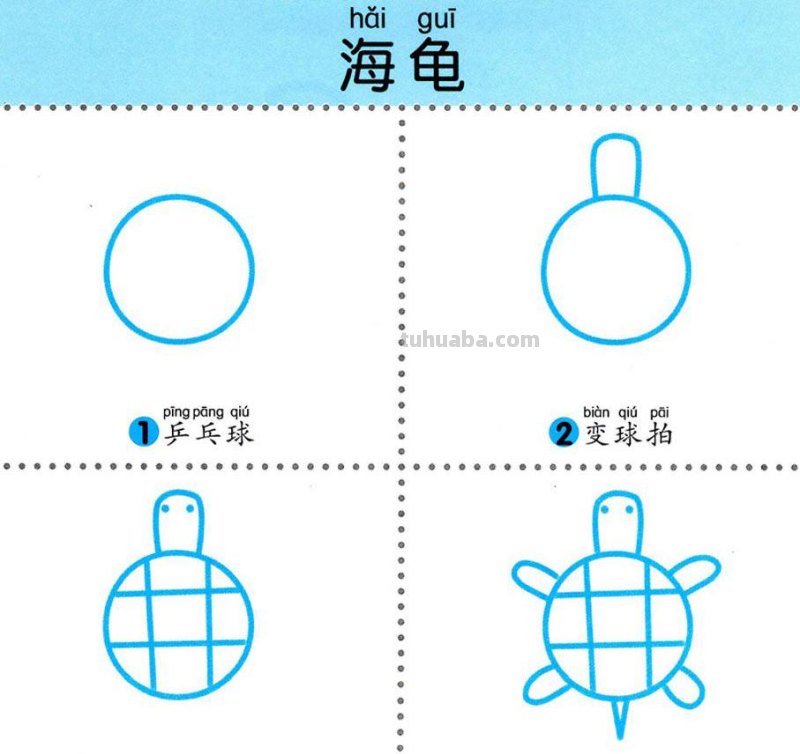 4步学画，水生动物，两岁宝宝全认识！