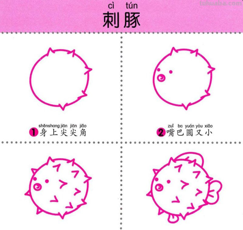 4步学画，水生动物，两岁宝宝全认识！