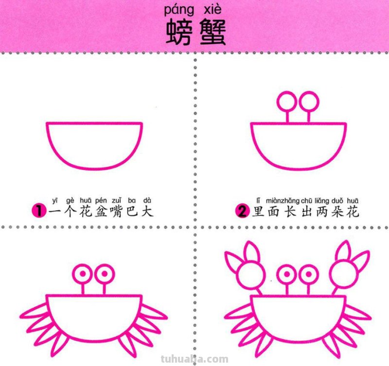 4步学画，水生动物，两岁宝宝全认识！
