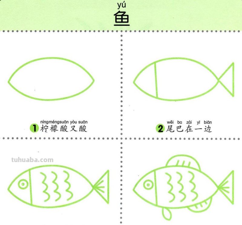 4步学画，水生动物，两岁宝宝全认识！