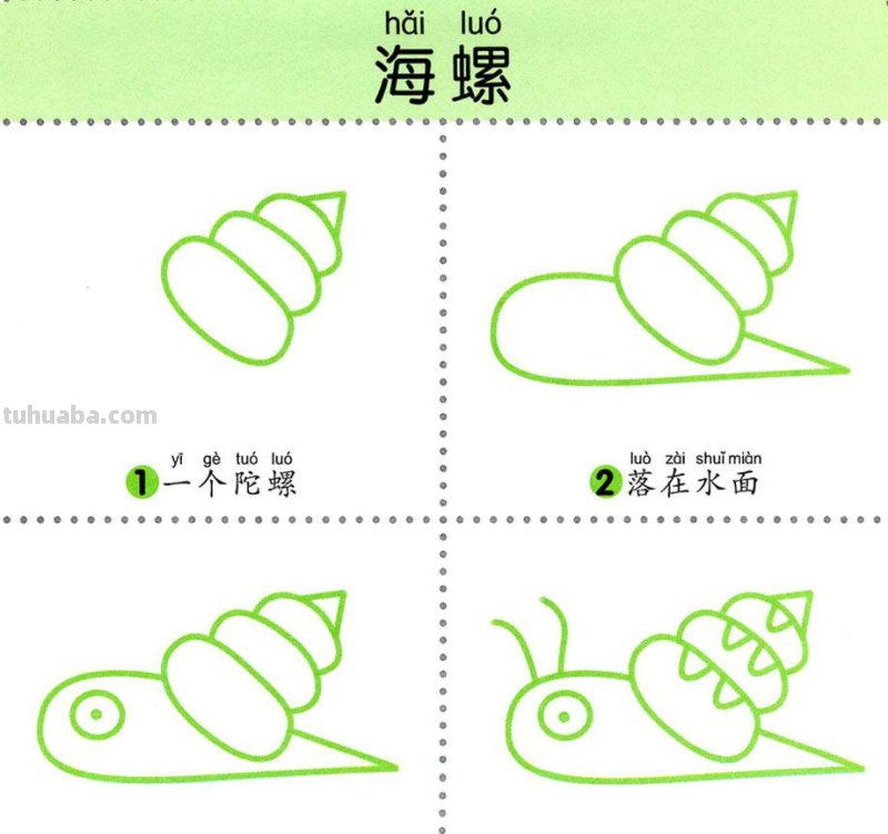 4步学画，水生动物，两岁宝宝全认识！