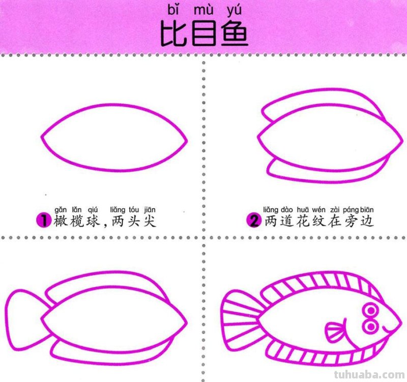 4步学画，水生动物，两岁宝宝全认识！