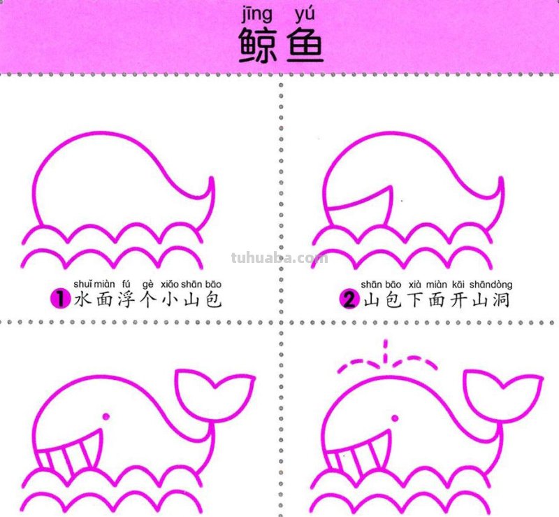 4步学画，水生动物，两岁宝宝全认识！