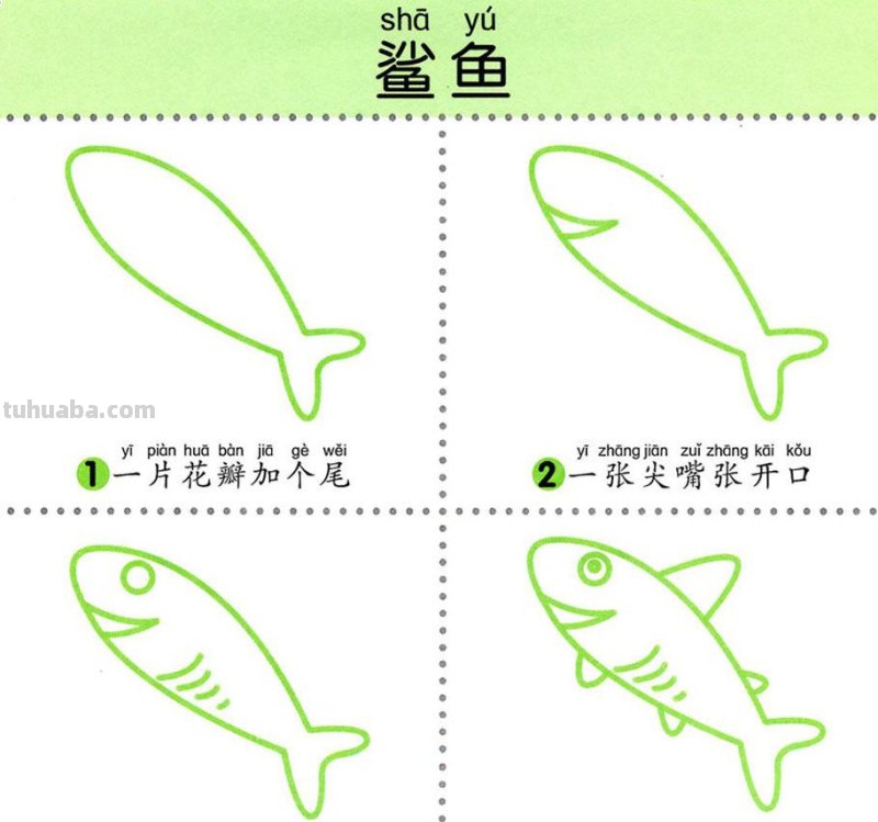 4步学画，水生动物，两岁宝宝全认识！