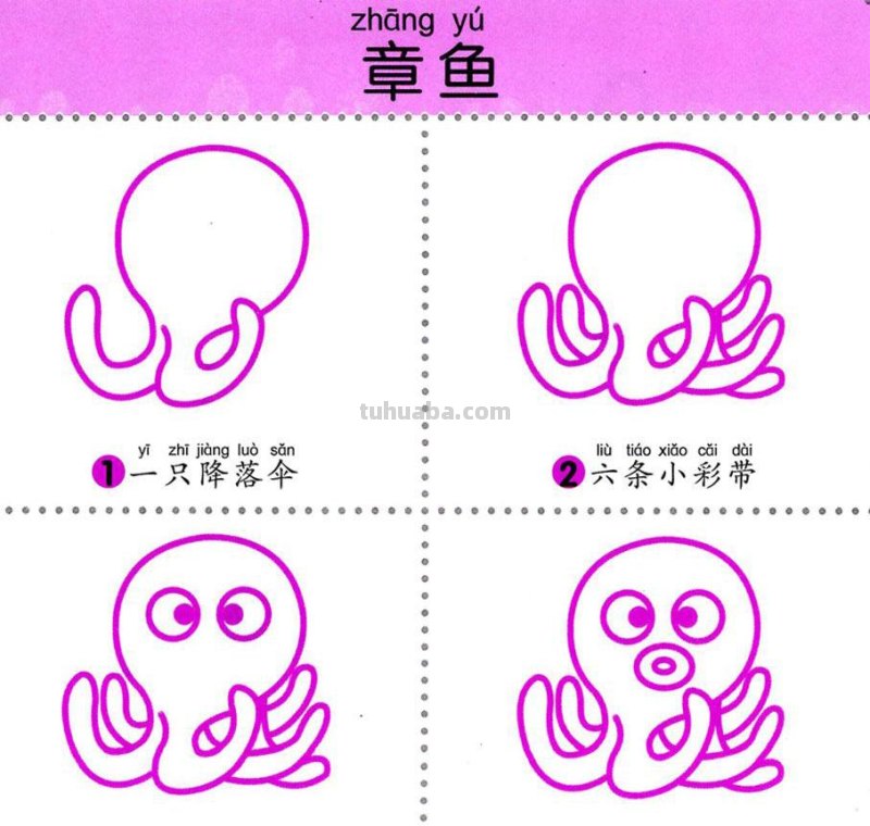 4步学画，水生动物，两岁宝宝全认识！