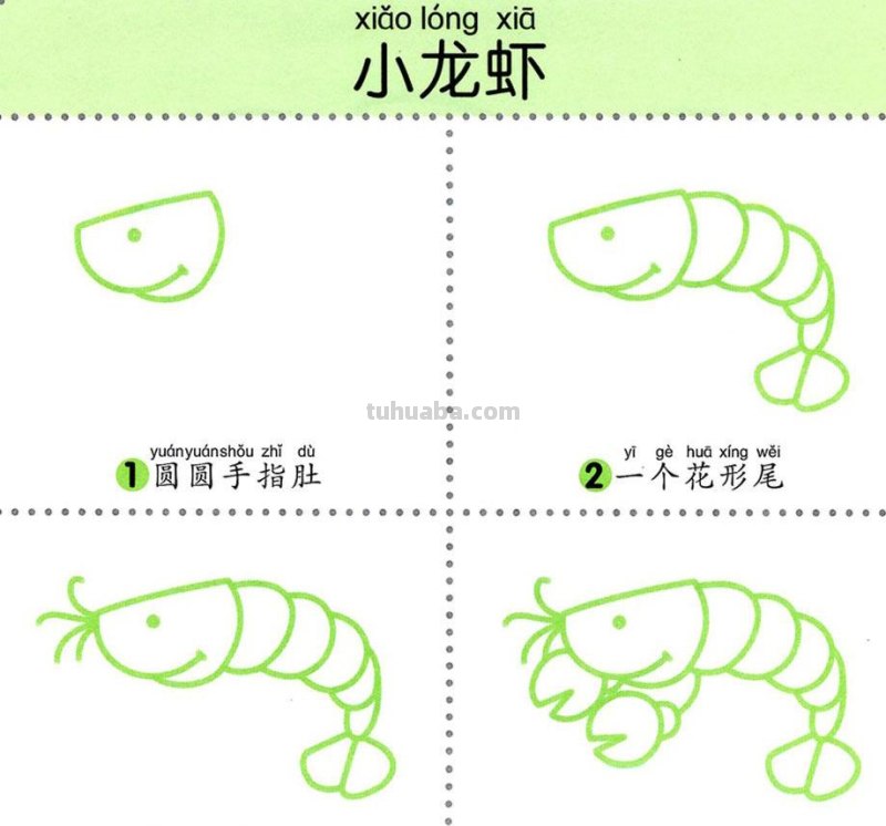 4步学画，水生动物，两岁宝宝全认识！