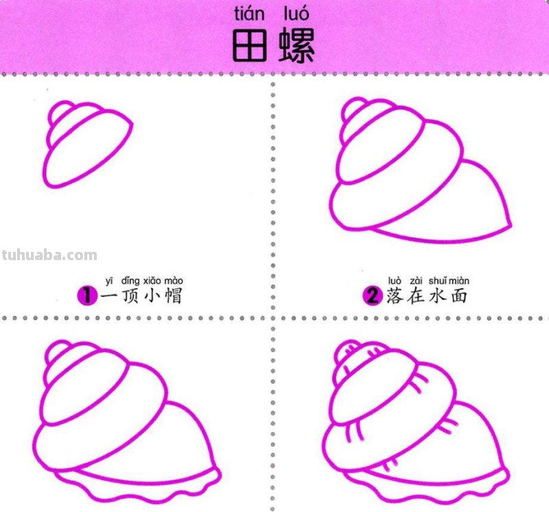 4步学画，水生动物，两岁宝宝全认识！