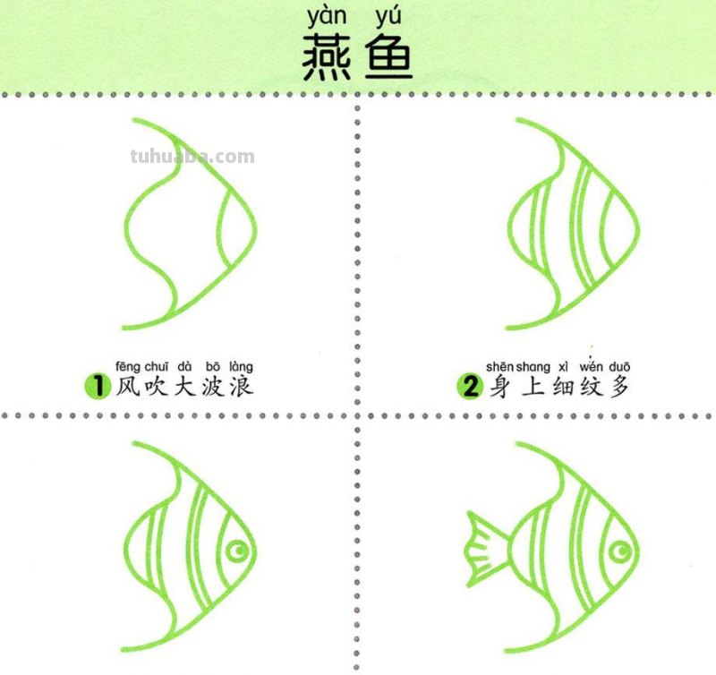 4步学画，水生动物，两岁宝宝全认识！