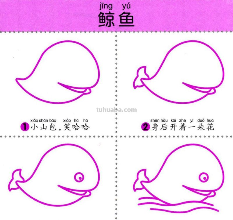 4步学画，水生动物，两岁宝宝全认识！