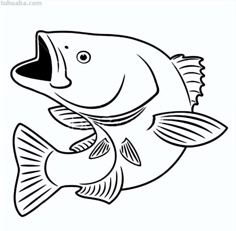 海洋生物简笔画线稿资料，收藏备用