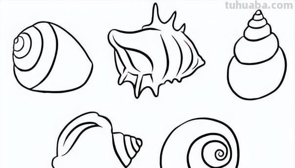 海洋生物简笔画线稿资料，收藏备用