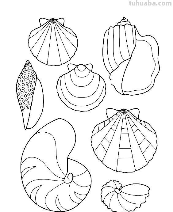 海洋生物简笔画线稿资料，收藏备用