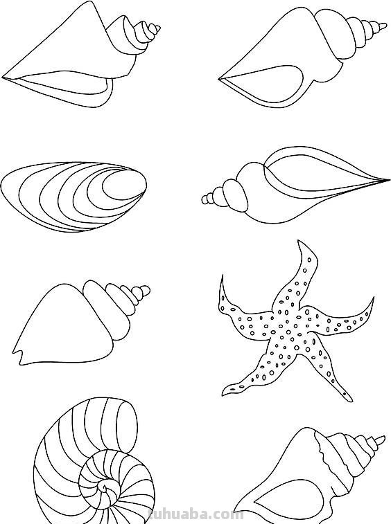 海洋生物简笔画线稿资料，收藏备用