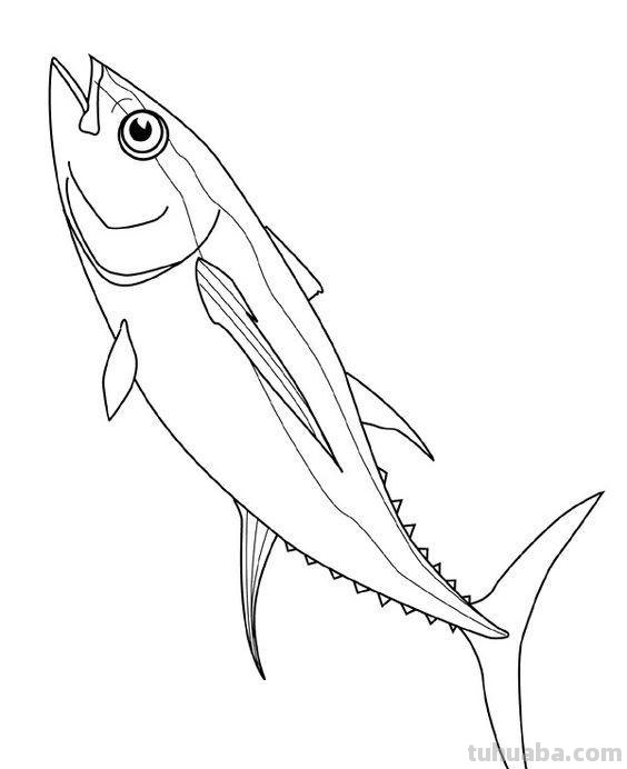 海洋生物简笔画线稿资料，收藏备用