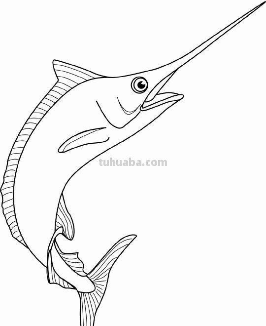 海洋生物简笔画线稿资料，收藏备用