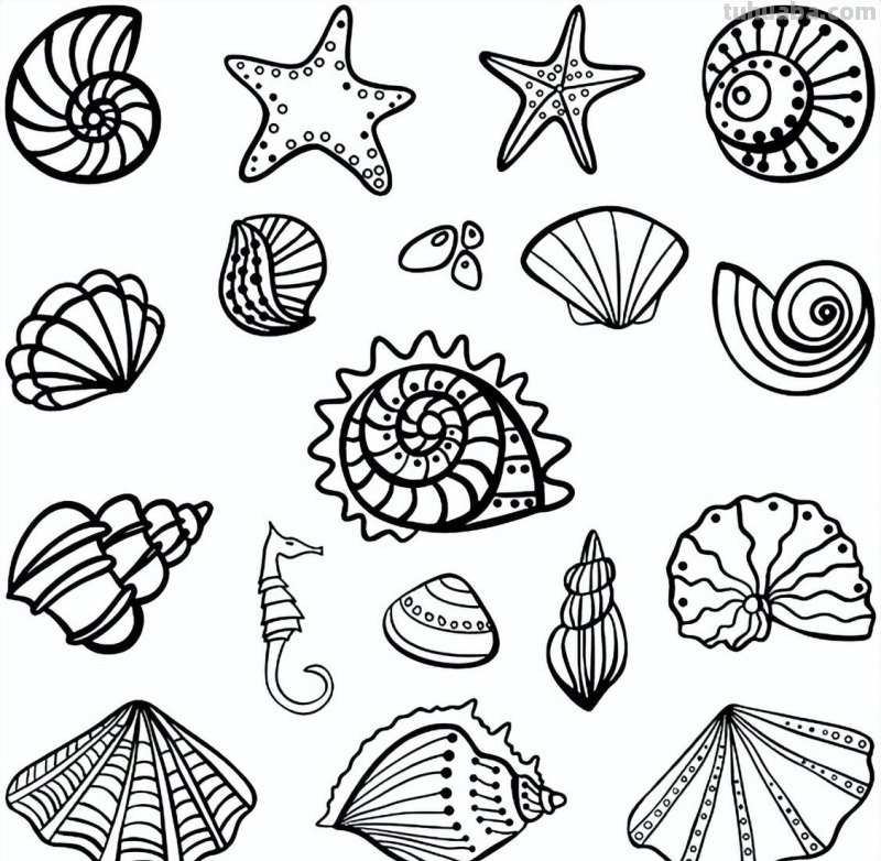 海洋生物简笔画线稿资料，收藏备用