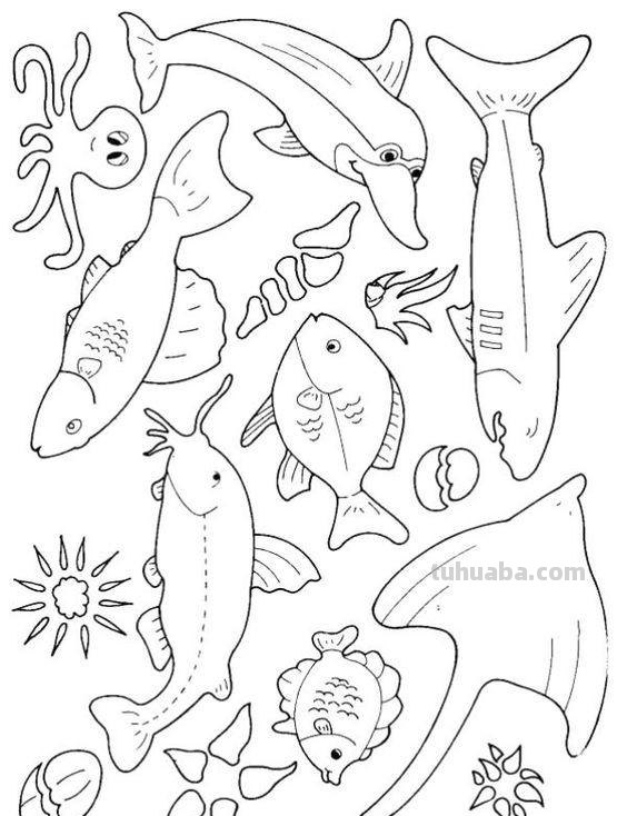 海洋生物简笔画线稿资料，收藏备用