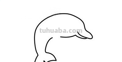 「动物篇」可爱又简单的海豚简笔画分解教程，一起来学习吧