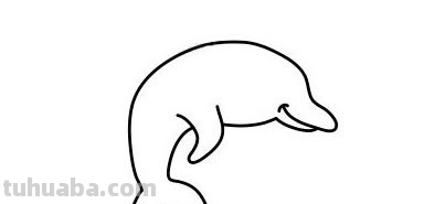 「动物篇」可爱又简单的海豚简笔画分解教程，一起来学习吧
