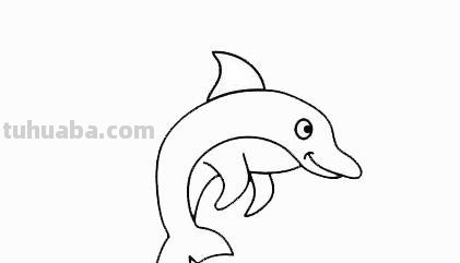 「动物篇」可爱又简单的海豚简笔画分解教程，一起来学习吧