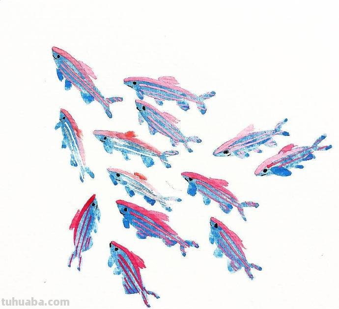 水生动物，简单的重复，拿去学习吧