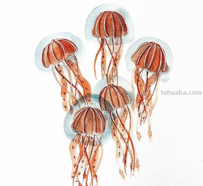 水生动物，简单的重复，拿去学习吧