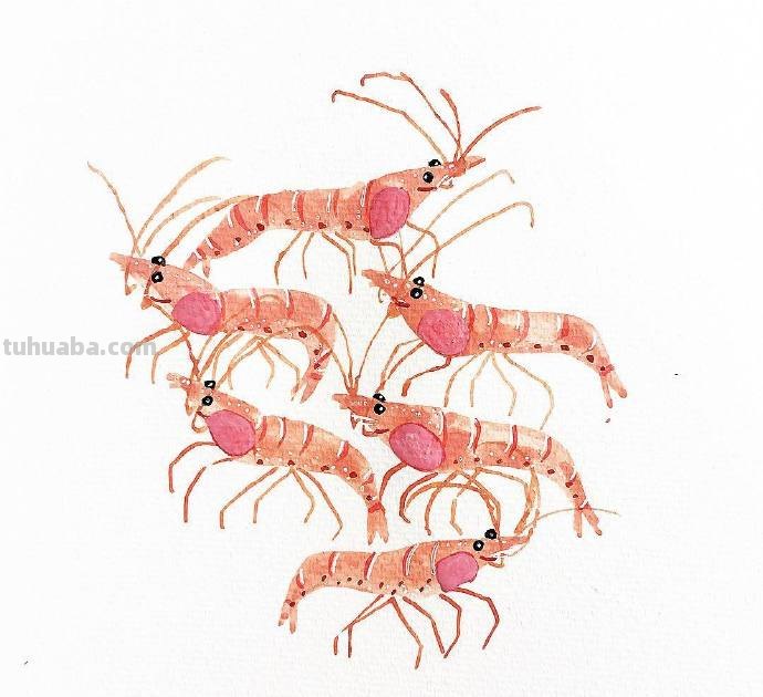 水生动物，简单的重复，拿去学习吧