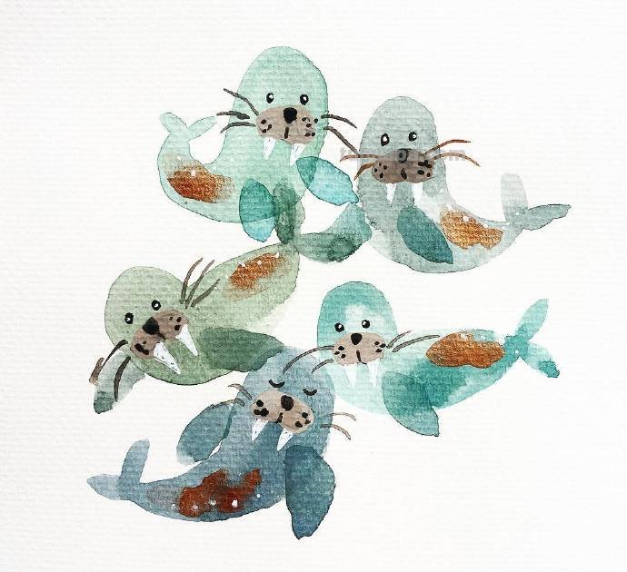 水生动物，简单的重复，拿去学习吧