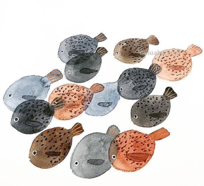 水生动物，简单的重复，拿去学习吧