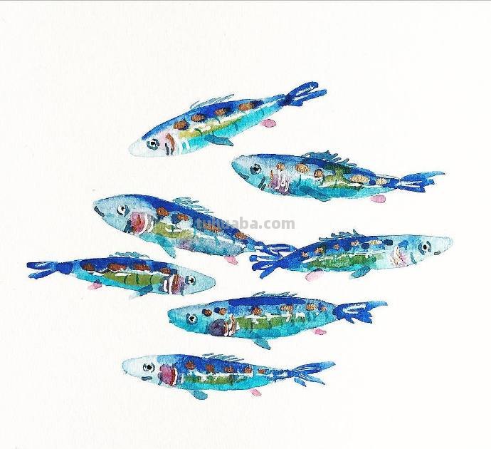 水生动物，简单的重复，拿去学习吧