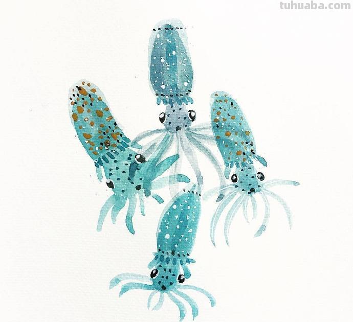 水生动物，简单的重复，拿去学习吧