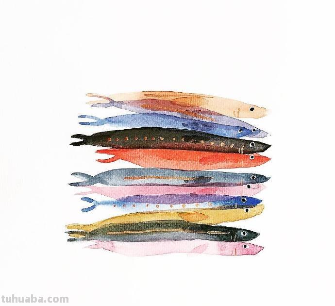 水生动物，简单的重复，拿去学习吧