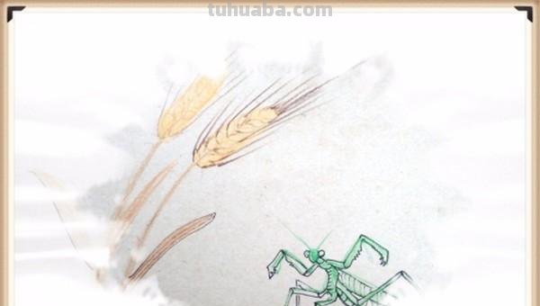 麦穗怎么用彩铅画(麦穗怎么用彩铅画好看) 麦穗怎么用彩铅画(麦穗怎么用彩铅画好看)
