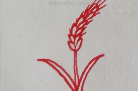 麦穗怎么用彩铅画(麦穗怎么用彩铅画好看) 麦穗怎么用彩铅画(麦穗怎么用彩铅画好看)