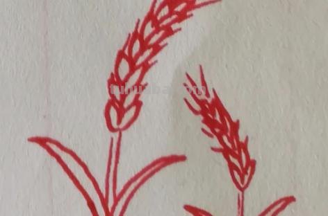麦穗怎么用彩铅画(麦穗怎么用彩铅画好看) 麦穗怎么用彩铅画(麦穗怎么用彩铅画好看)