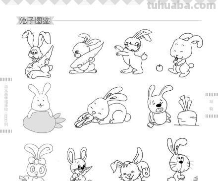 简笔画小动物图例小合集~值得收藏