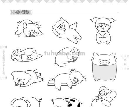 简笔画小动物图例小合集~值得收藏