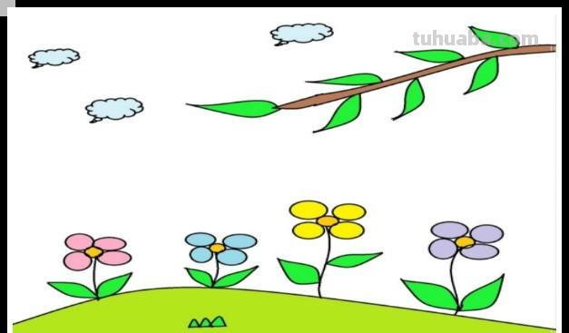 小草怎么画简笔画图片(小草怎么画简笔画图片大全大图) 小草怎么画简笔画图片(小草怎么画简笔画图片大全大图)