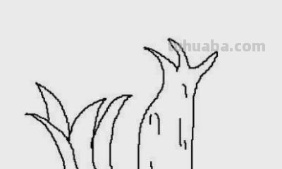 小草怎么画简笔画图片(小草怎么画简笔画图片大全大图) 小草怎么画简笔画图片(小草怎么画简笔画图片大全大图)