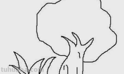 小草怎么画简笔画图片(小草怎么画简笔画图片大全大图) 小草怎么画简笔画图片(小草怎么画简笔画图片大全大图)