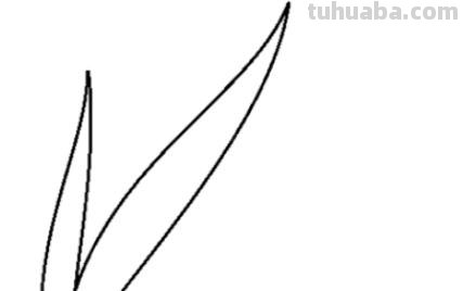 小草怎么画简笔画图片(小草怎么画简笔画图片大全大图) 小草怎么画简笔画图片(小草怎么画简笔画图片大全大图)