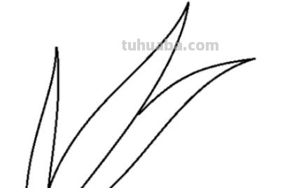 小草怎么画简笔画图片(小草怎么画简笔画图片大全大图) 小草怎么画简笔画图片(小草怎么画简笔画图片大全大图)