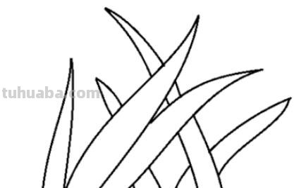 小草怎么画简笔画图片(小草怎么画简笔画图片大全大图) 小草怎么画简笔画图片(小草怎么画简笔画图片大全大图)