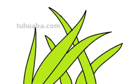 小草怎么画简笔画图片(小草怎么画简笔画图片大全大图) 小草怎么画简笔画图片(小草怎么画简笔画图片大全大图)